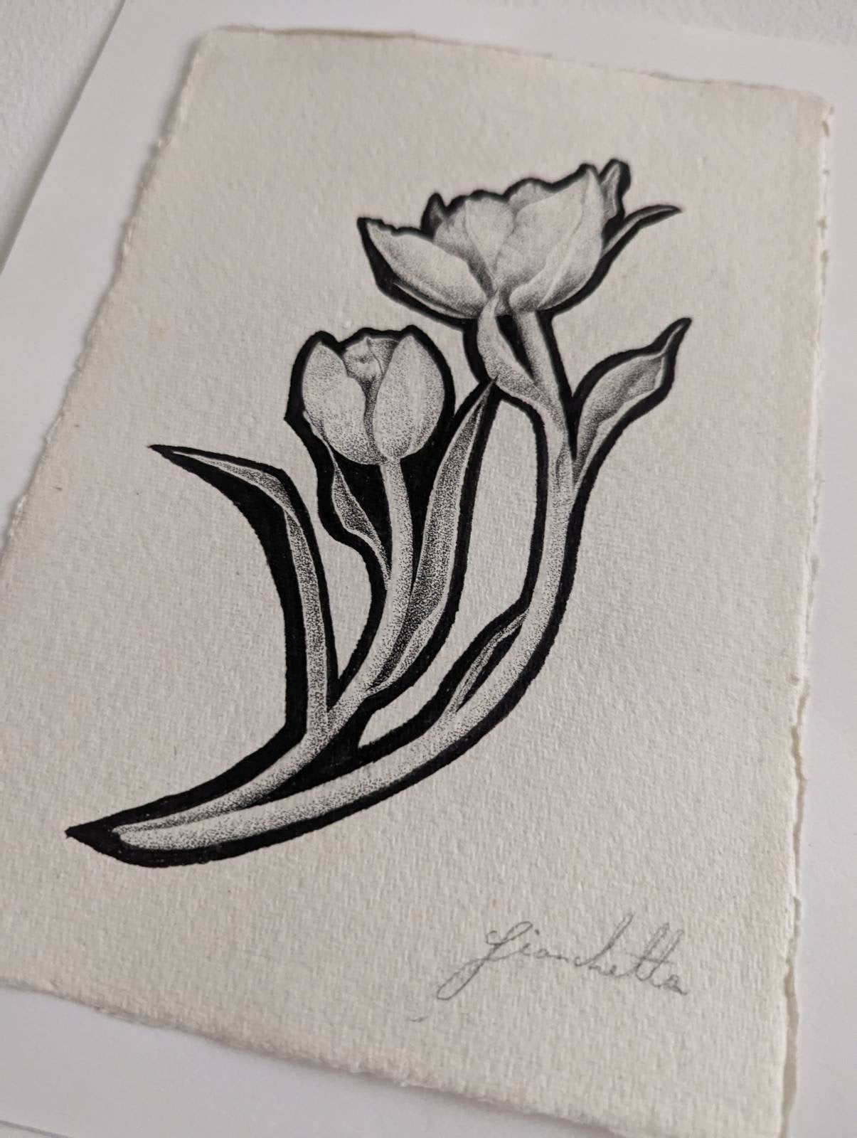 Original Artwork in Pen & Ink | Botanical Illustration of Tulips by Fianchetta