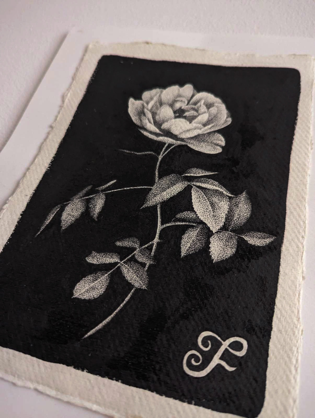 Original Artwork in Pen & Ink | Rose Botanical Illustration by Fianchetta