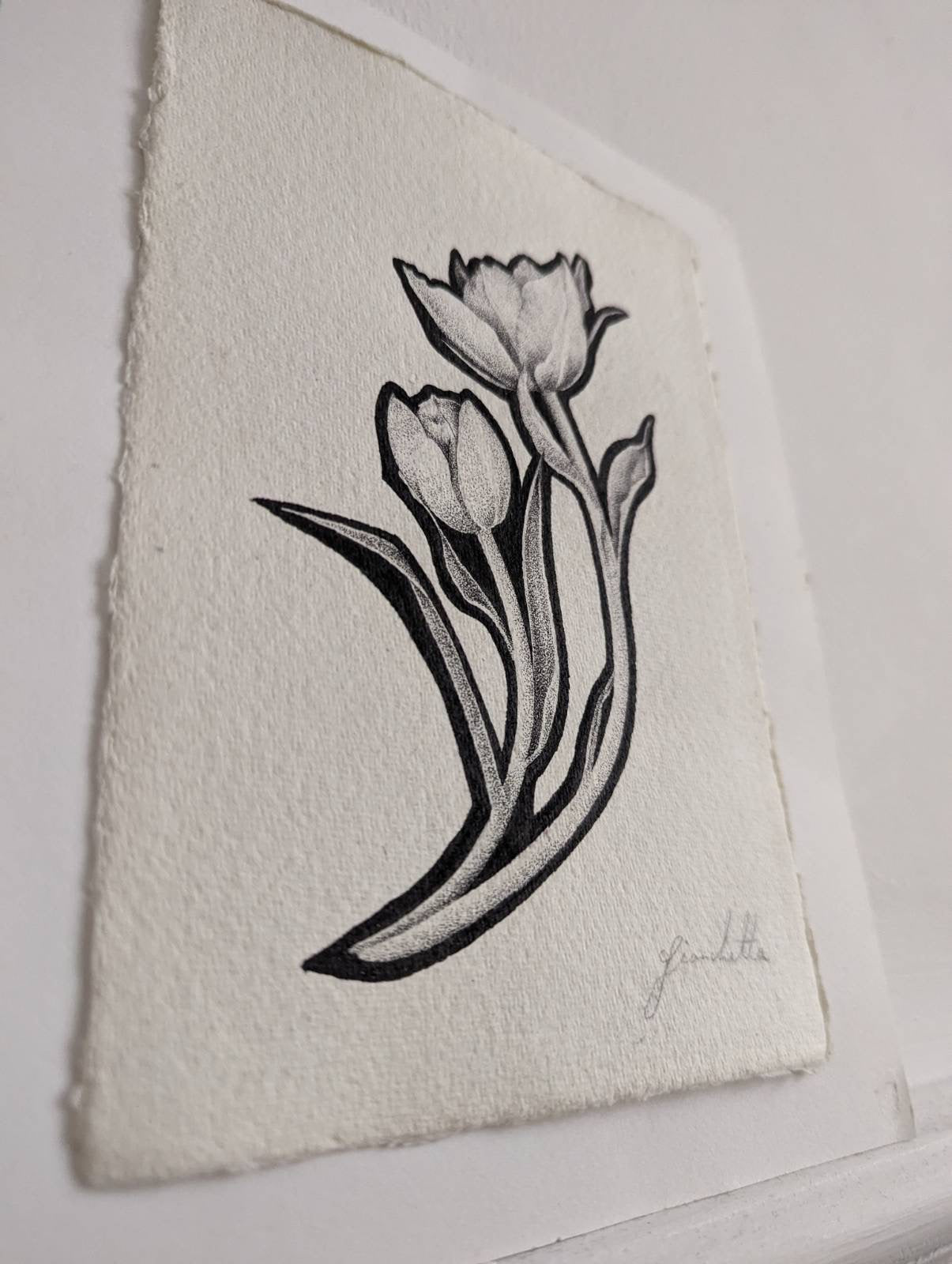 Original Artwork in Pen & Ink | Botanical Illustration of Tulips by Fianchetta