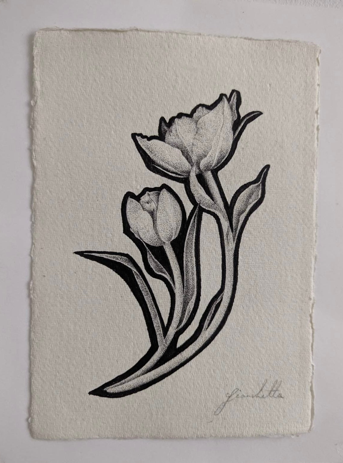 Original Artwork in Pen & Ink | Botanical Illustration of Tulips by Fianchetta