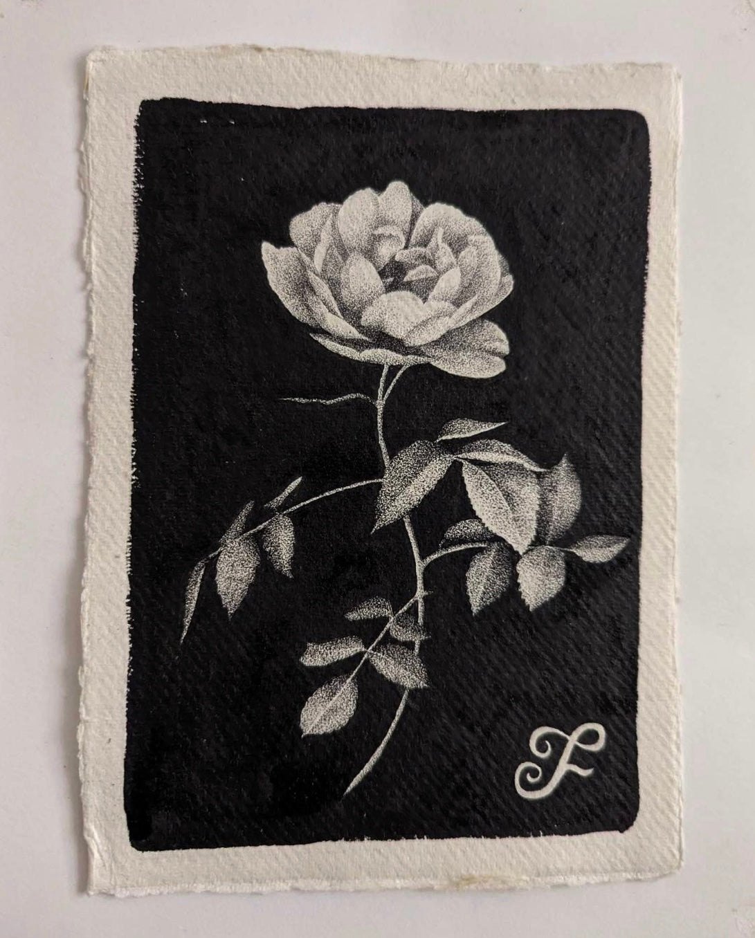 Original Artwork in Pen & Ink | Rose Botanical Illustration by Fianchetta