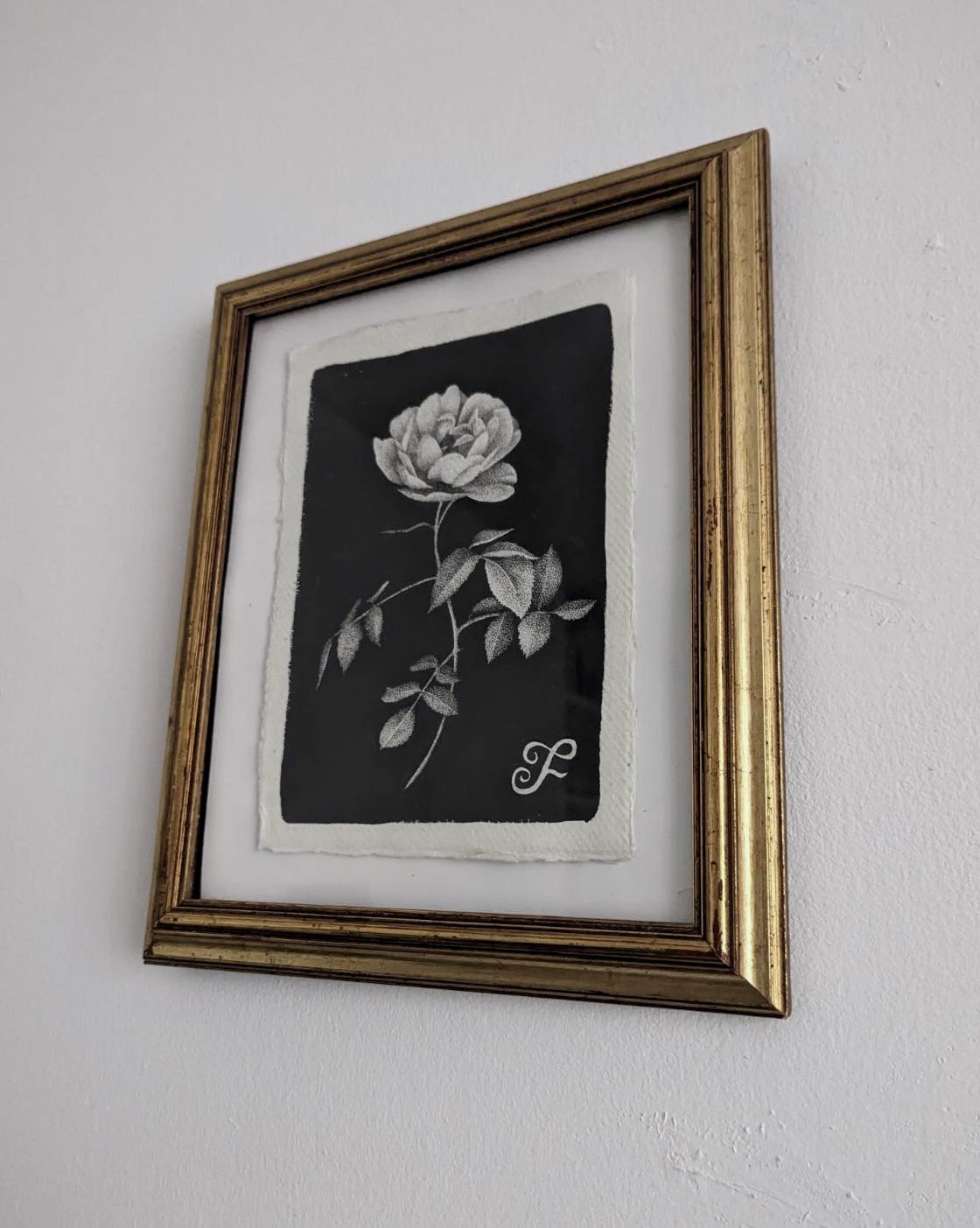 Original Artwork in Pen & Ink | Rose Botanical Illustration by Fianchetta