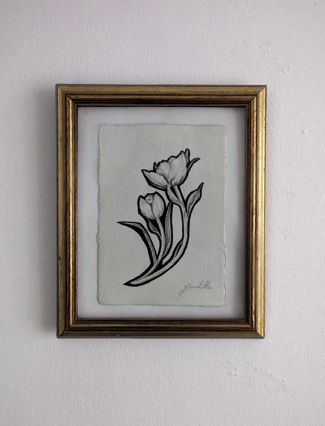 Original Artwork in Pen & Ink | Botanical Illustration of Tulips by Fianchetta