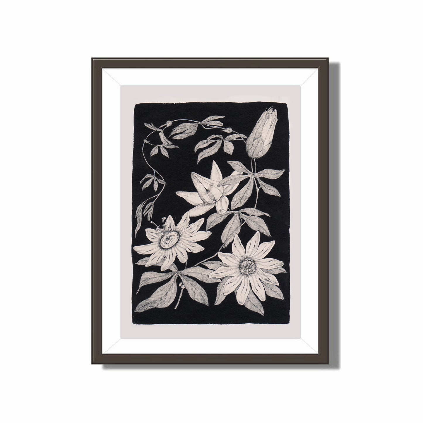 ‘Passion Flowers’ Limited Edition Art Print by Fianchetta