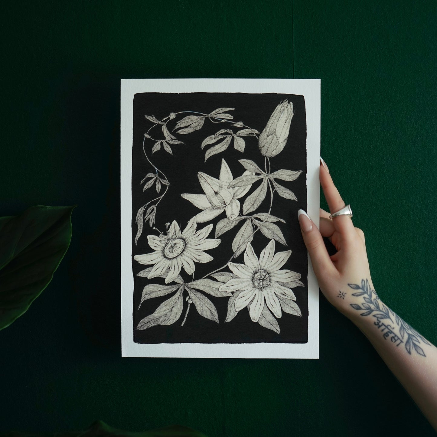 ‘Passion Flowers’ Limited Edition Art Print by Fianchetta